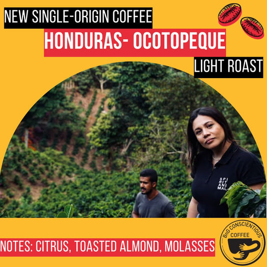 Single-Origin Feature: Honduras - Ocotopeque - Light Roast - Bump 'n Grind Coffee Shop