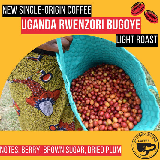 Single-Origin Features - Uganda Rwenzori Bugoye - Light Roast - Bump 'n Grind Coffee Shop