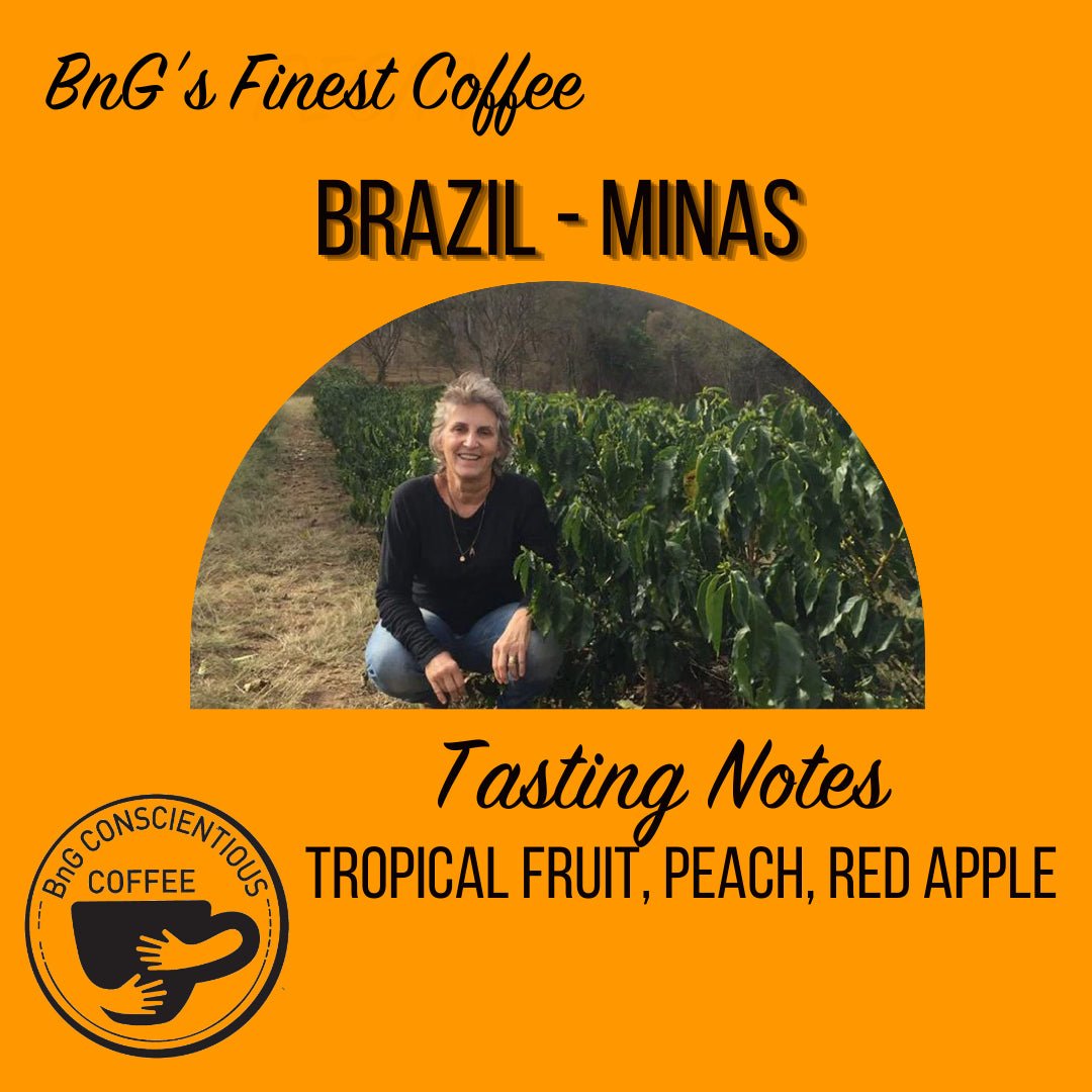 Brazil - Bela Vista - Light Roast (Copy) - Bump 'n Grind Coffee Shop