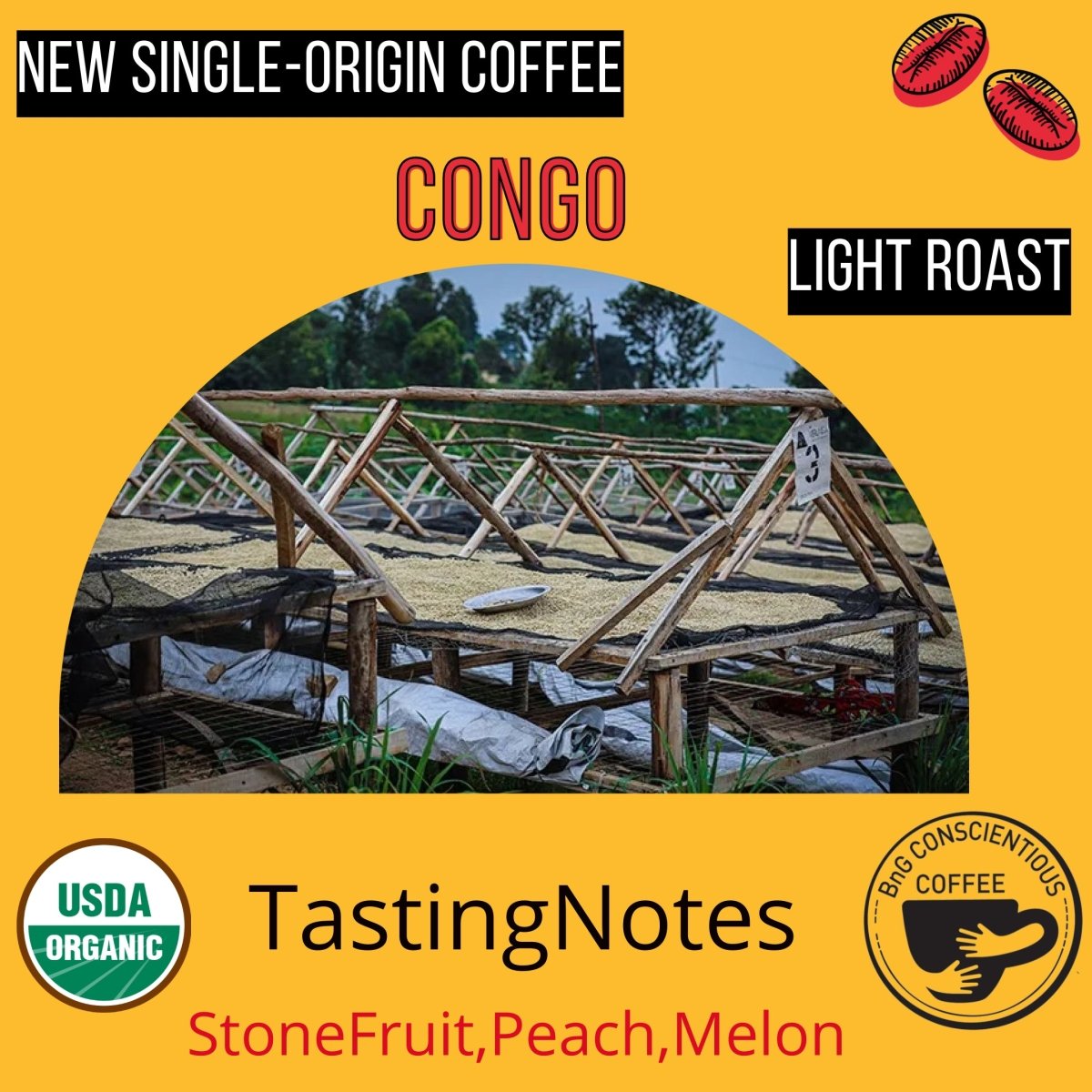 Congo - Mukwinja - Light Roast - Bump 'n Grind Coffee Shop