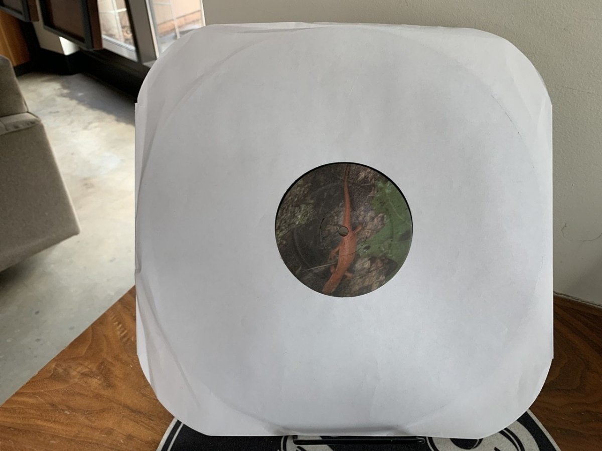 DSR 020 - Bump 'n Grind