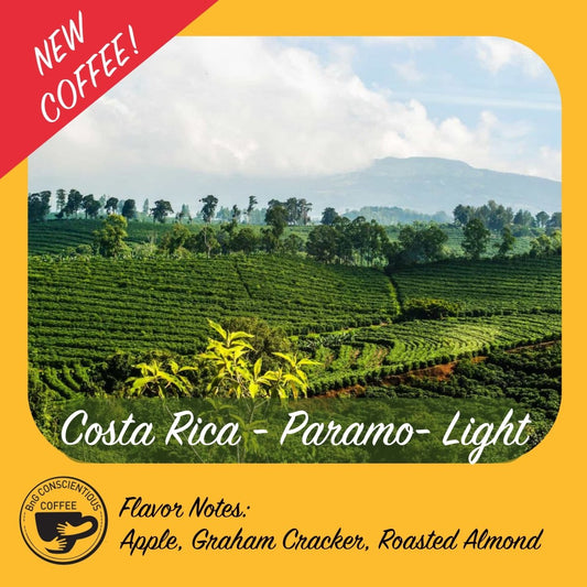 New Single Origin Coffee: Costa Rica - Paramo - Light - Bump 'n Grind Coffee Shop