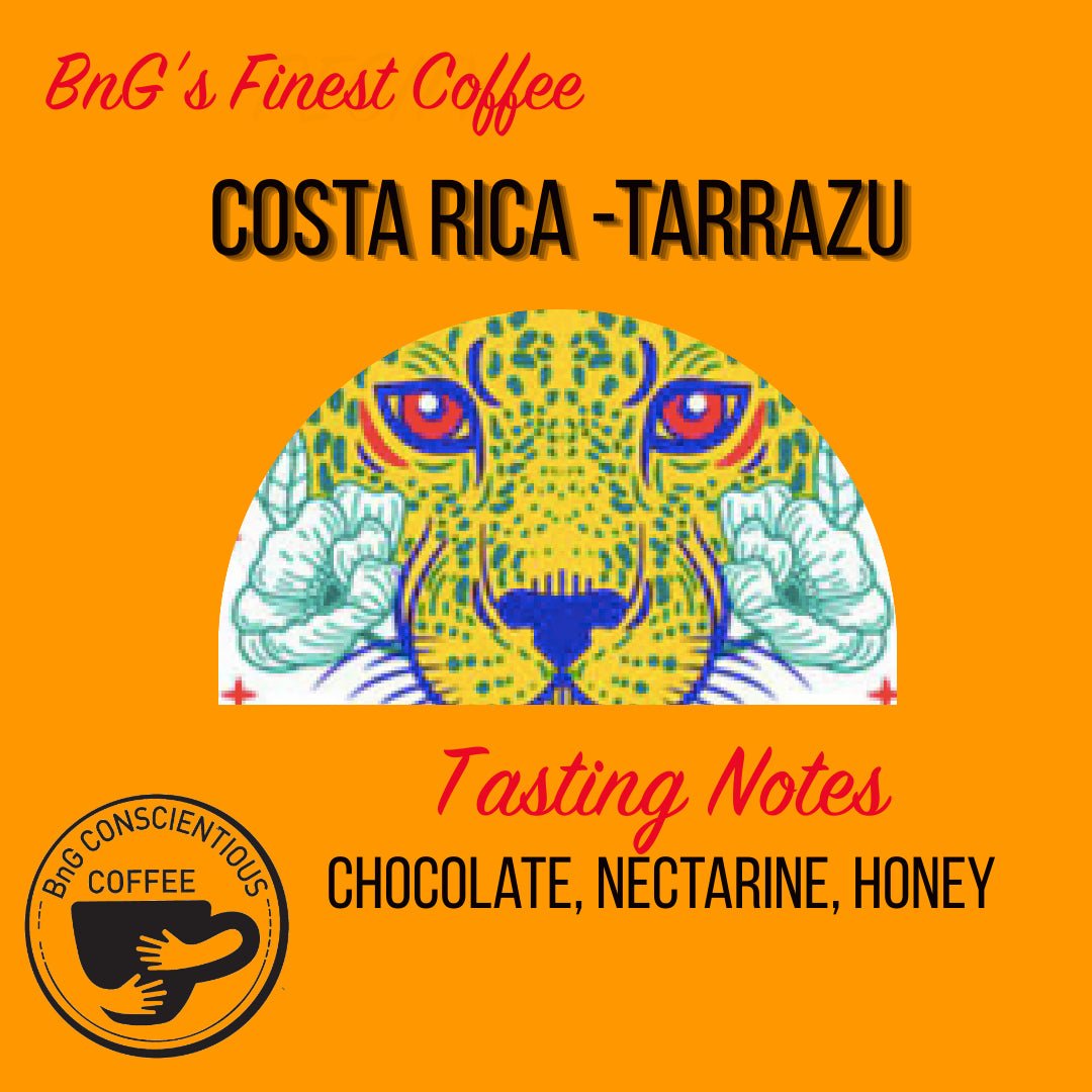 Costa Rica - Tarrazu - Bump 'n Grind Coffee Shop