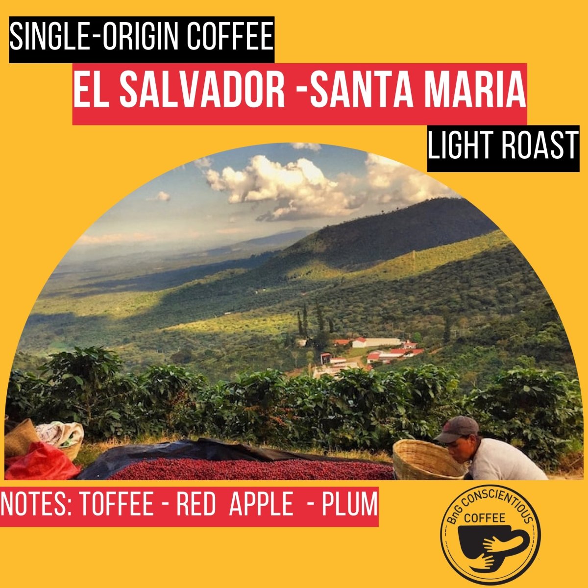 El Salvador - Santa Maria - Light Roast - Bump 'n Grind Coffee Shop