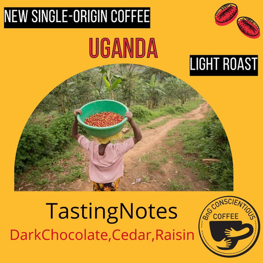 Uganda - Organic - Light - Bump 'n Grind Coffee Shop