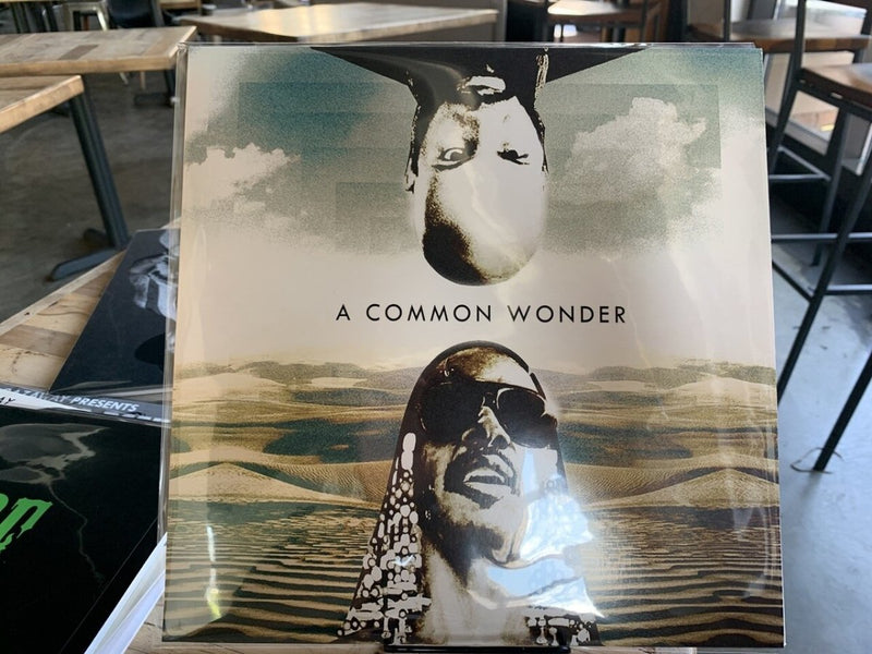 COMMONWONDER - Bump 'n Grind