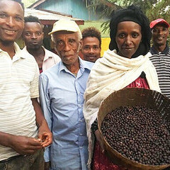 Ethiopia Yirgacheffe from Tsigue Jigso - Bump 'n Grind Coffee Shop