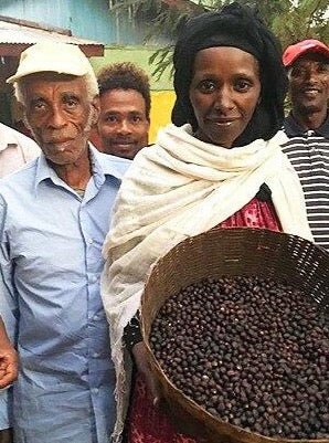 Ethiopia Yirgacheffe from Tsigue Jigso - Bump 'n Grind Coffee Shop